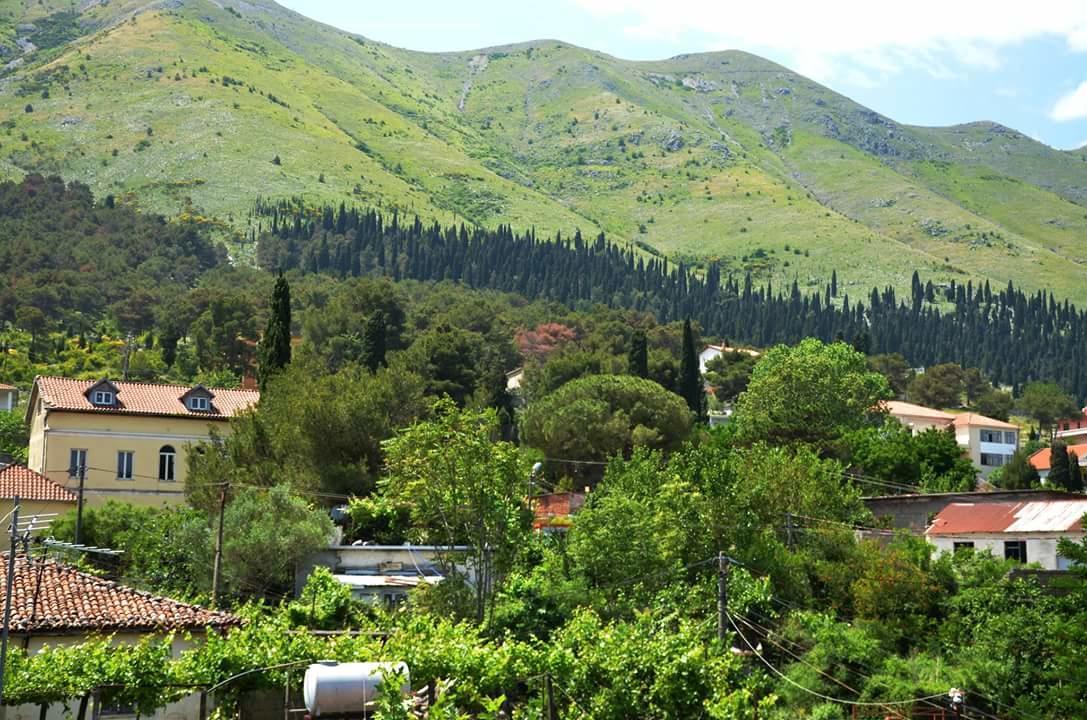 Hotel Shkodra Lake Shiroka Экстерьер фото