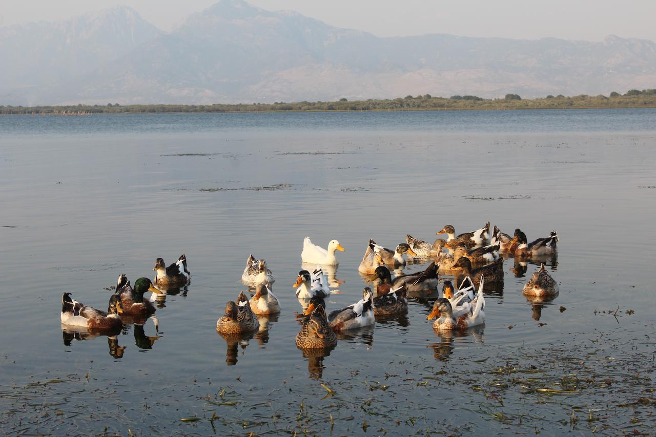 Hotel Shkodra Lake Shiroka Экстерьер фото